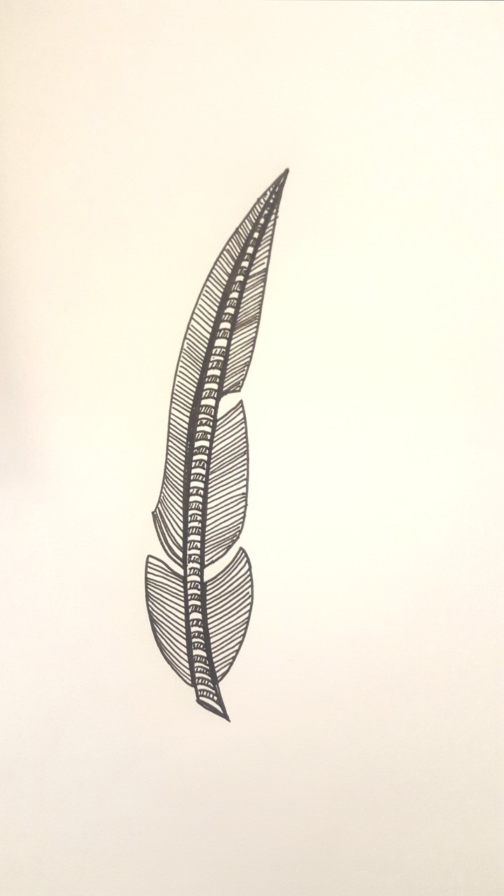 Plume Noir et Blanc