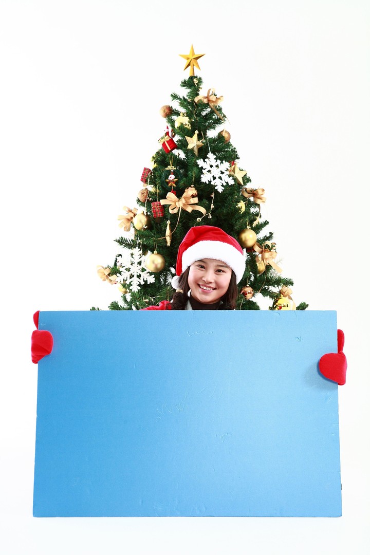 Christmas Costume