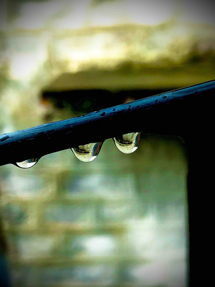 Rainy