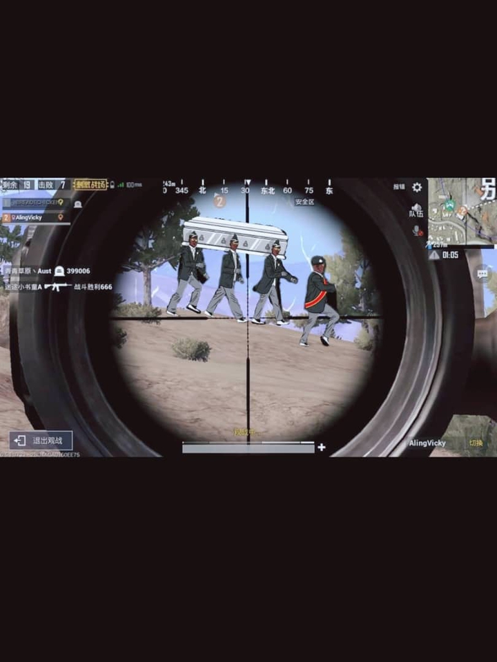 Pubg Coffin