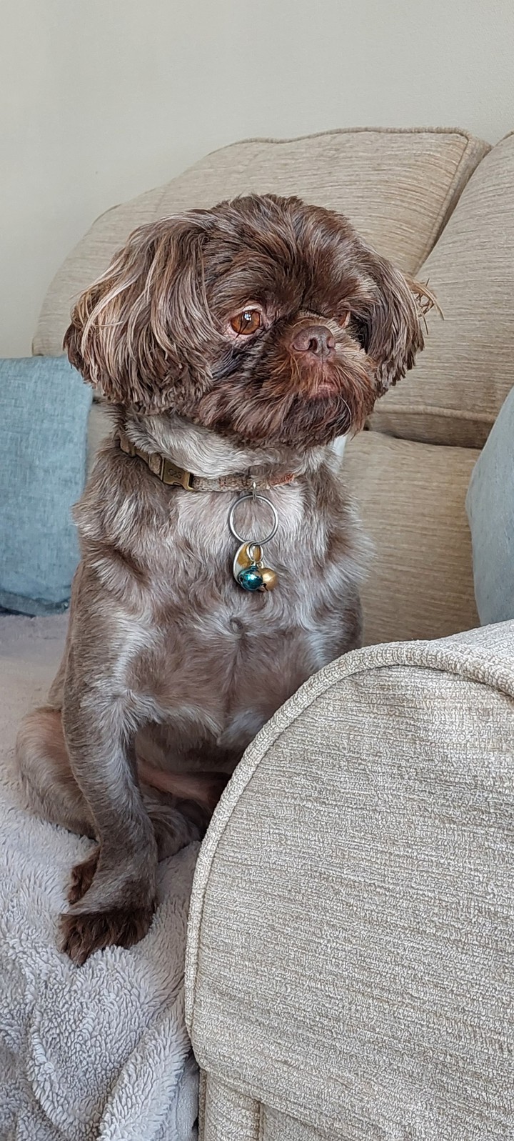 little guard