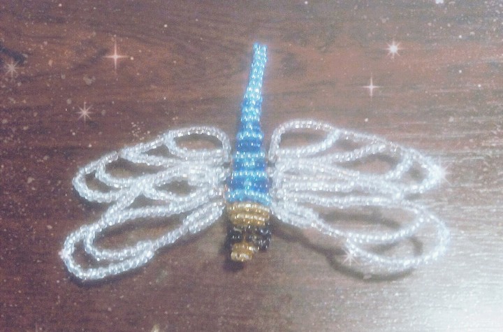 dragonfly