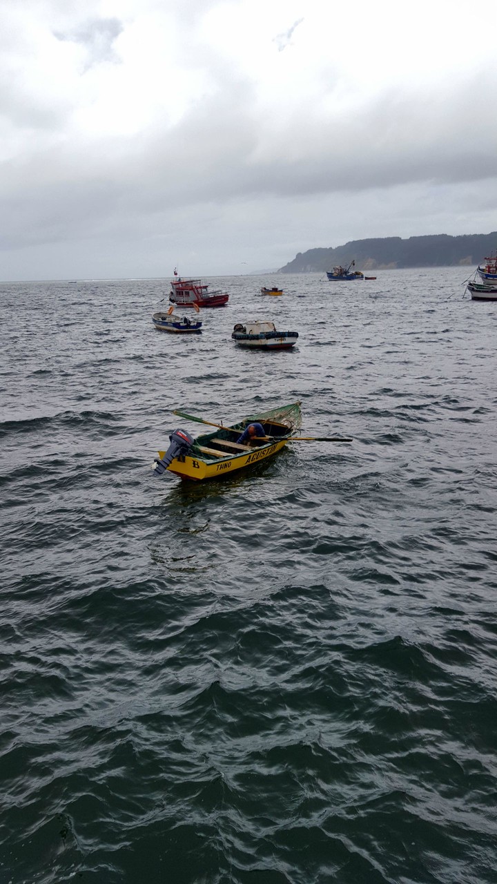 Caleta tumbes