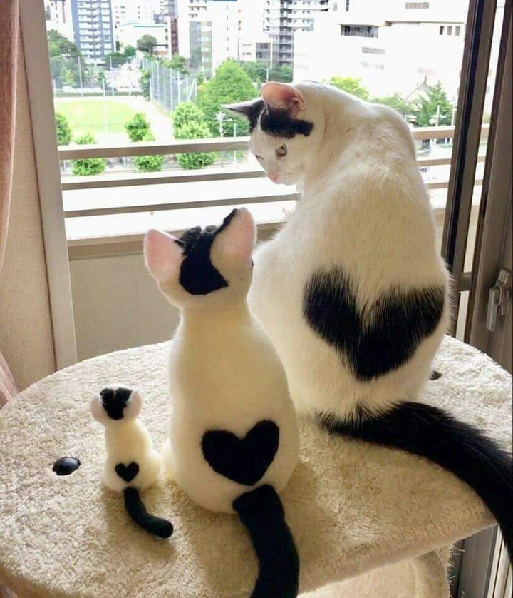 ???