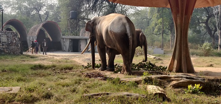 national zoo delhi