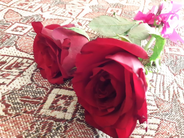 love