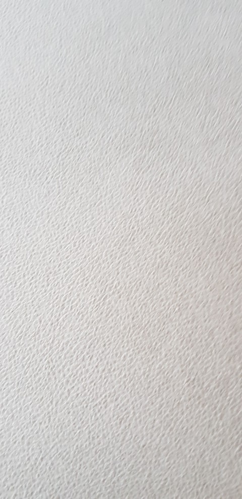하얀배경