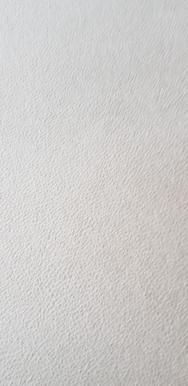 하얀배경