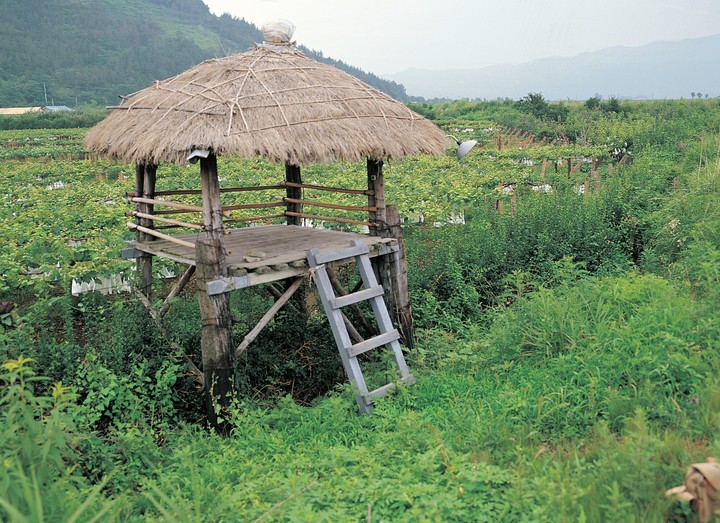 풍경