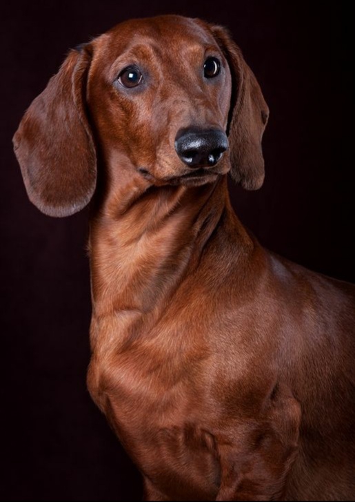 ??