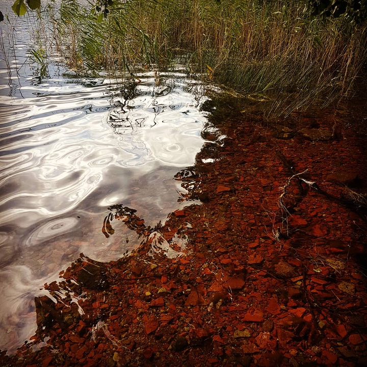 водная гладь