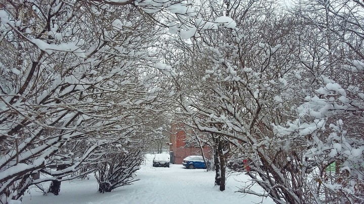Magic winter