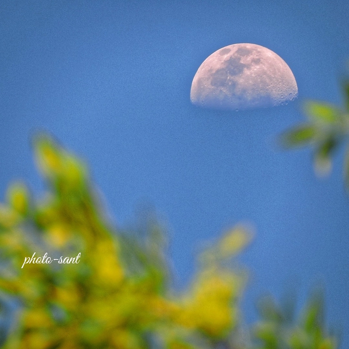 Day moon ??