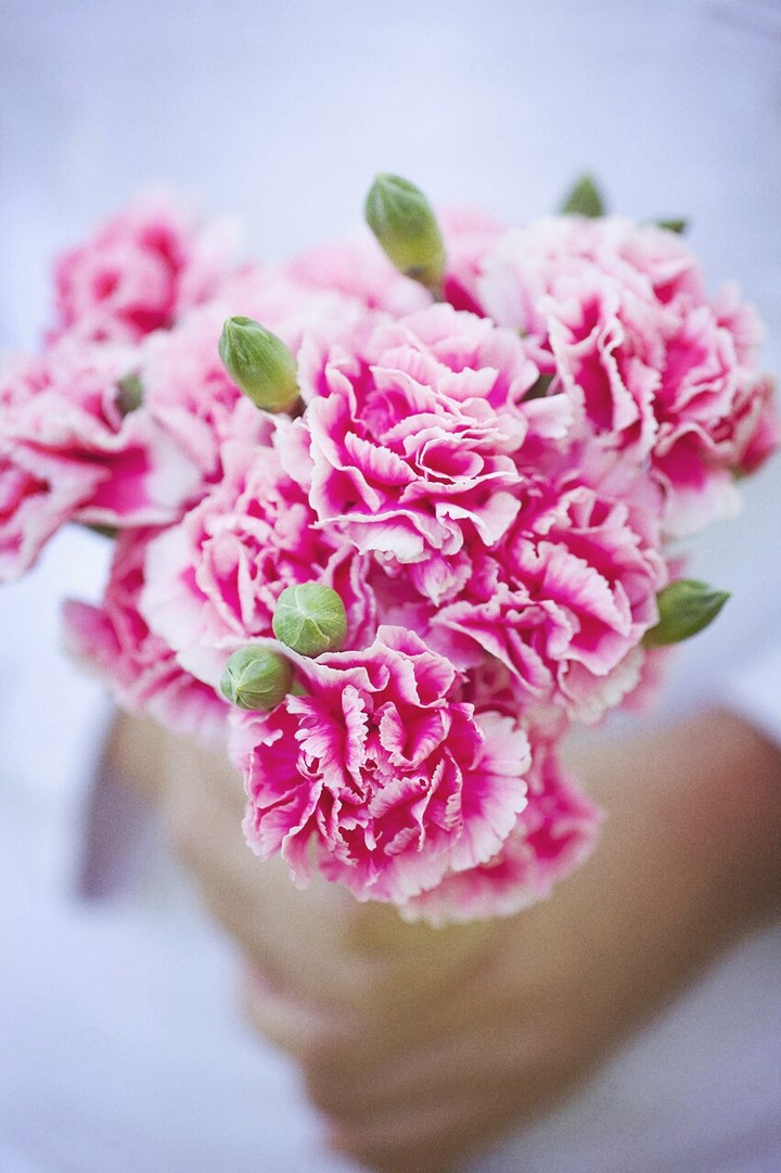 flower's