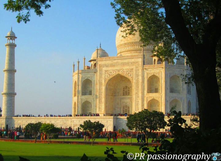 the magnificent taj