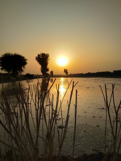 evening Sun rise