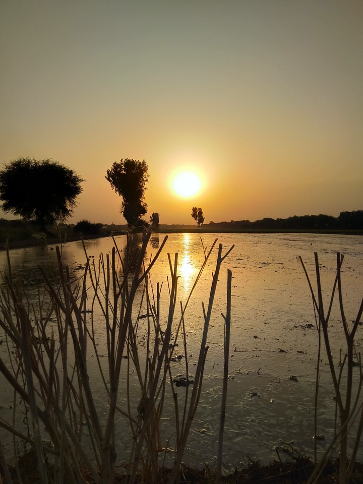 evening Sun rise