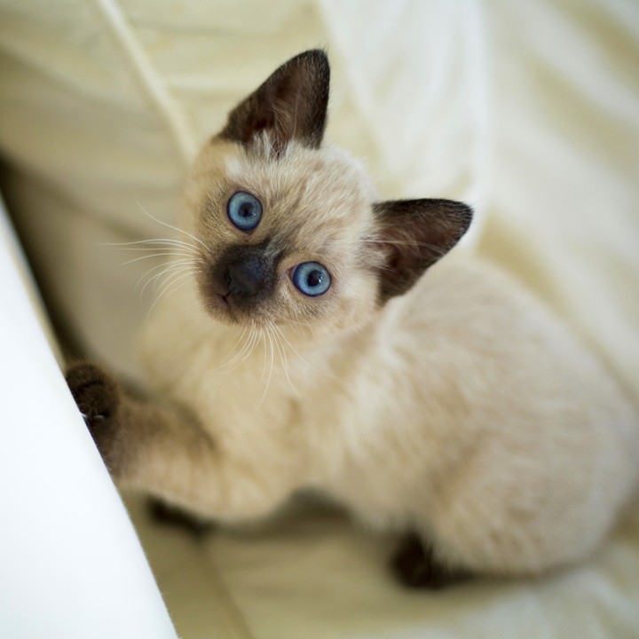 beautiful eyes....
