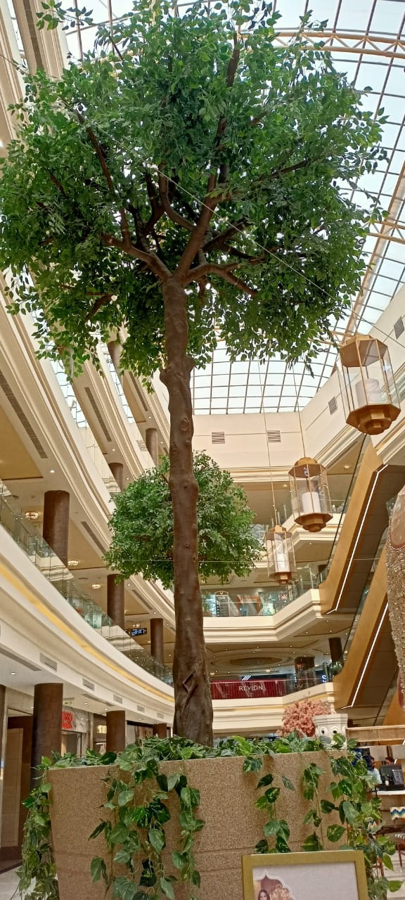 tree