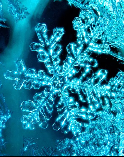 Il fiocco di neve