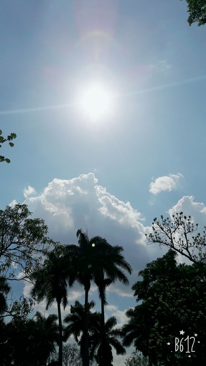 sunny