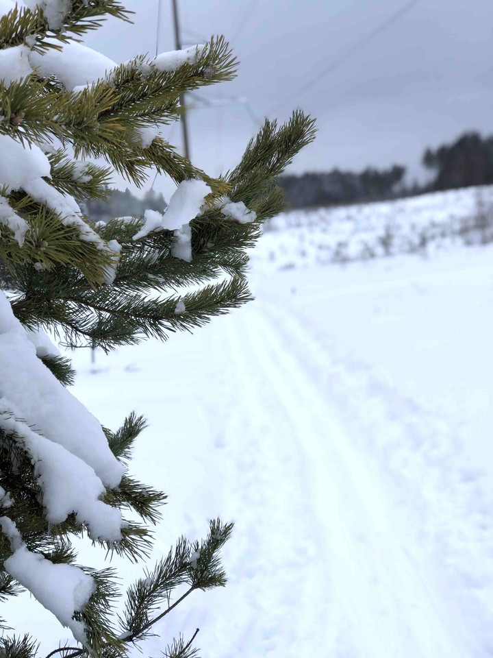snow