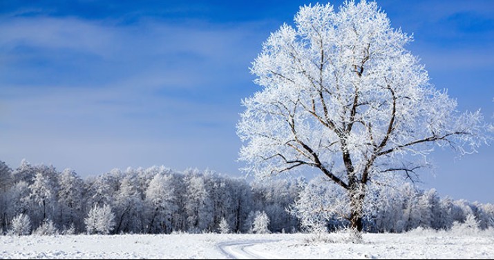 Winter