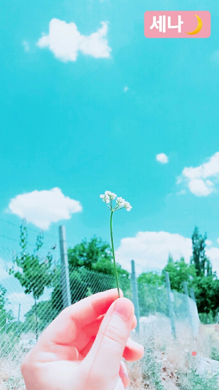 like a dream...