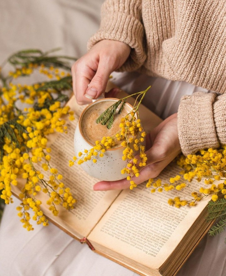 yellow flower