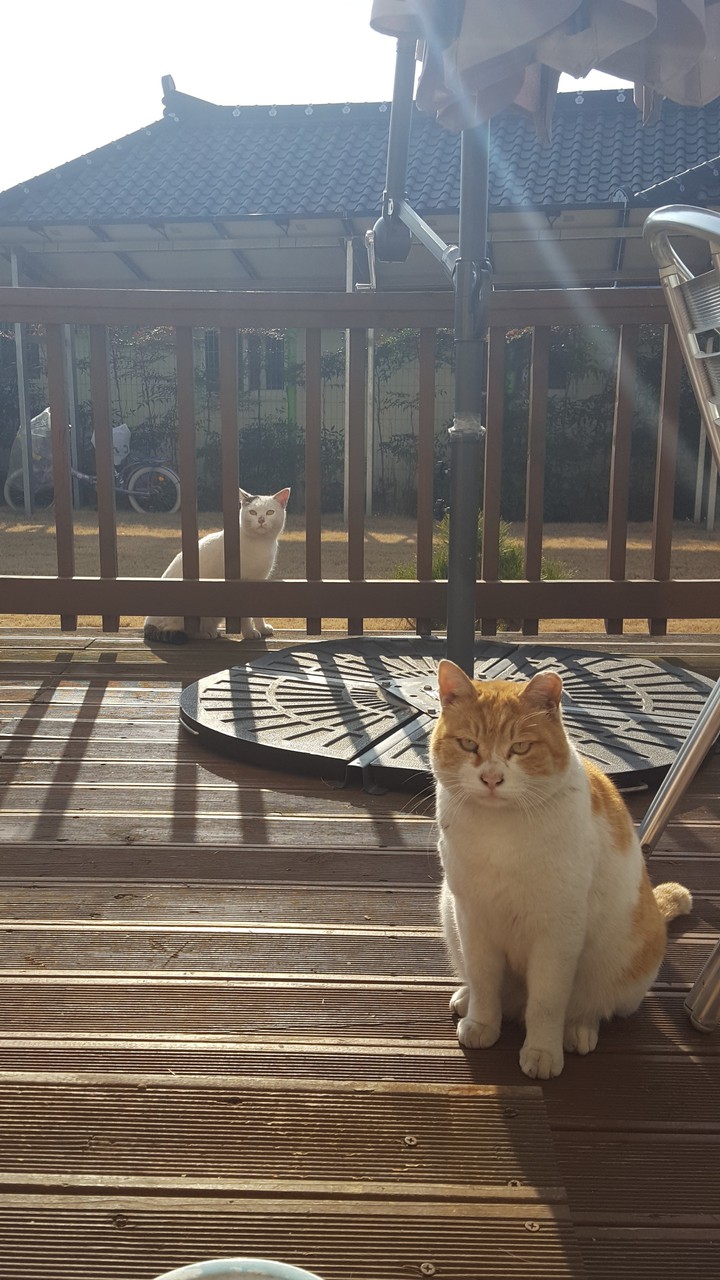 i'm ready for their food