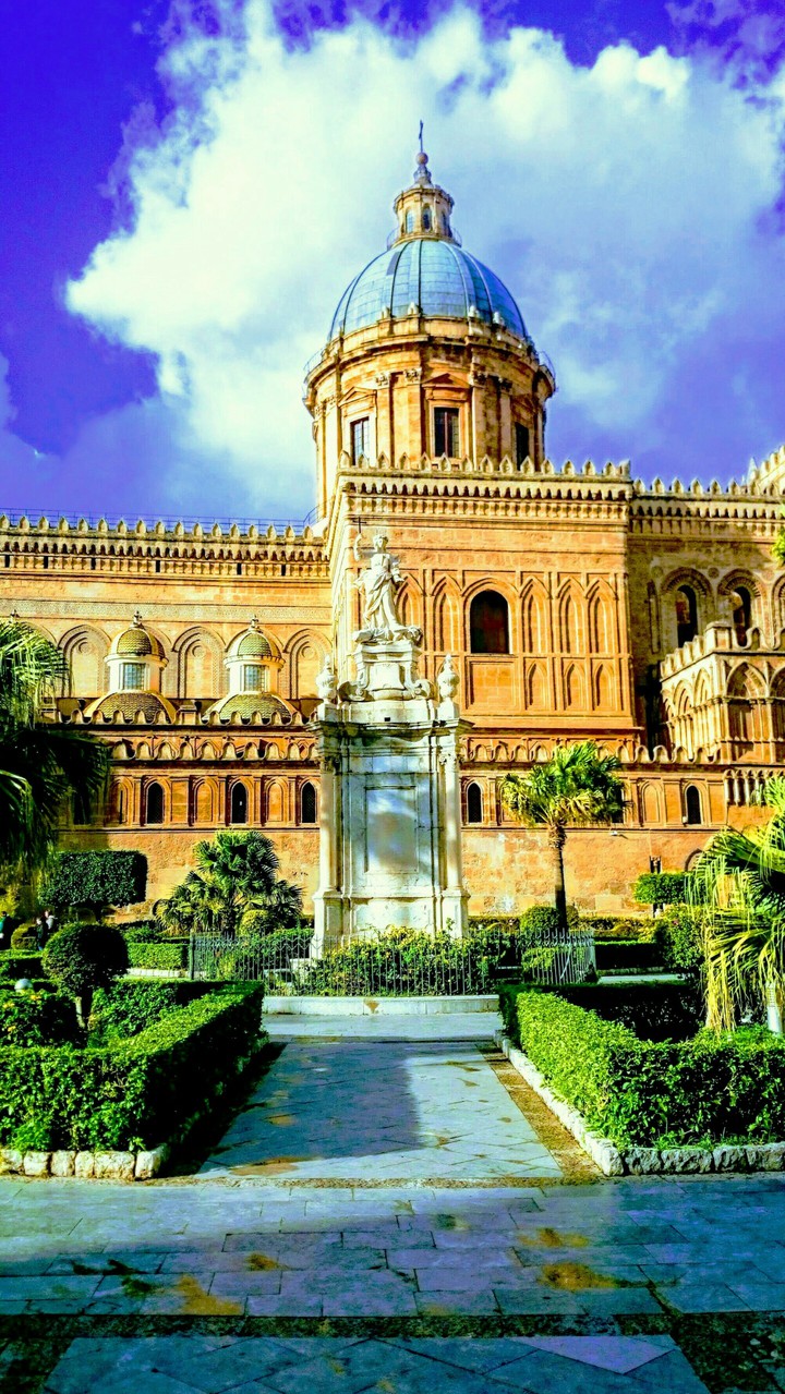 PALERMO REFLECTIONS
