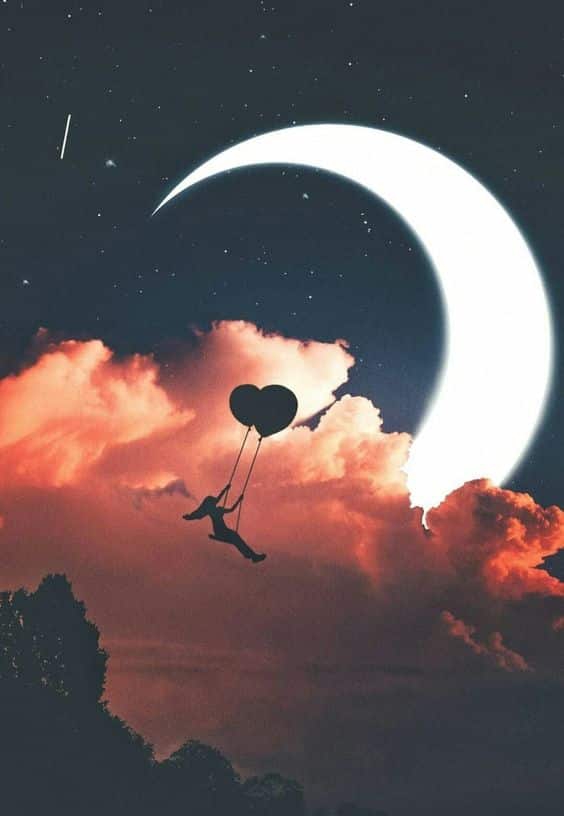 fly