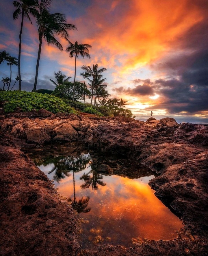 Nature's Beauty