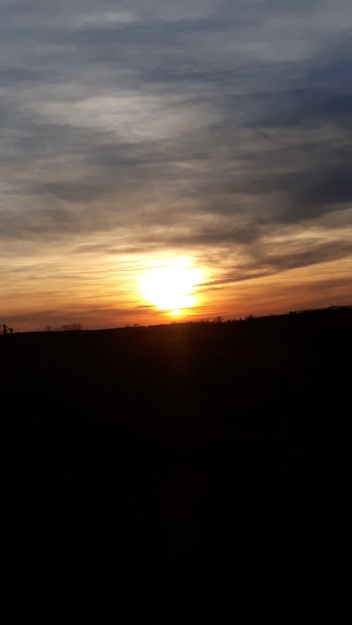 Sunshine