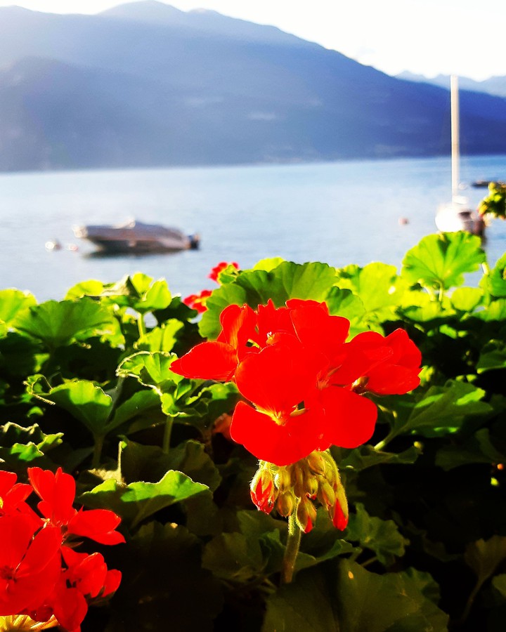 Summer in Italy