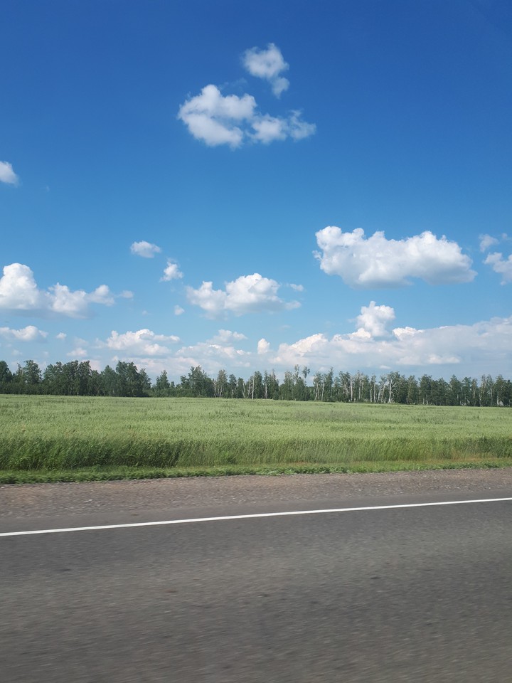Лес