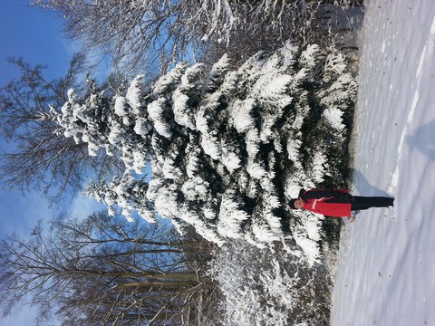 Winter in Hohenlohe