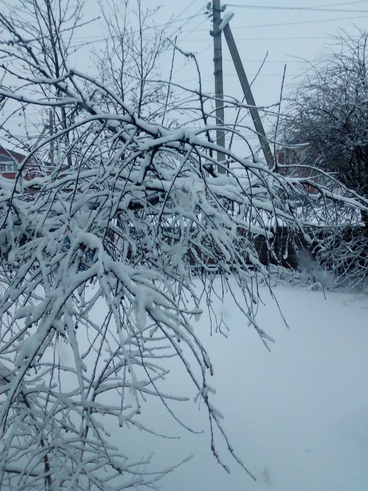 winter