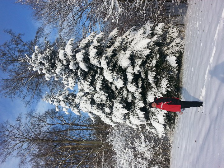 Winter in Hohenlohe