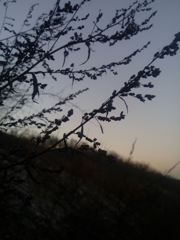 природа