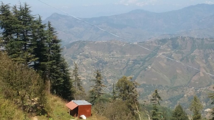 shimla