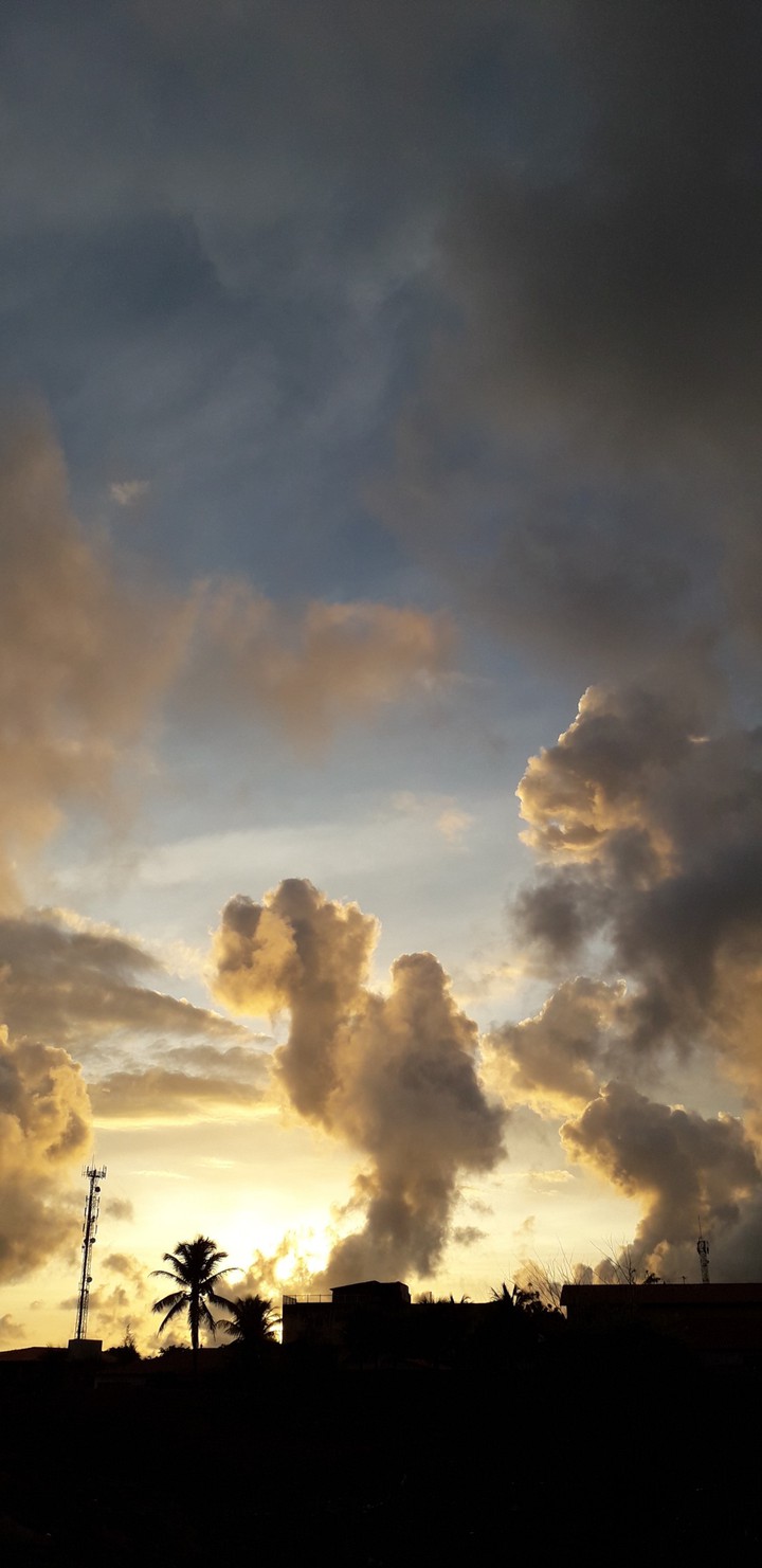 Sun in the morning