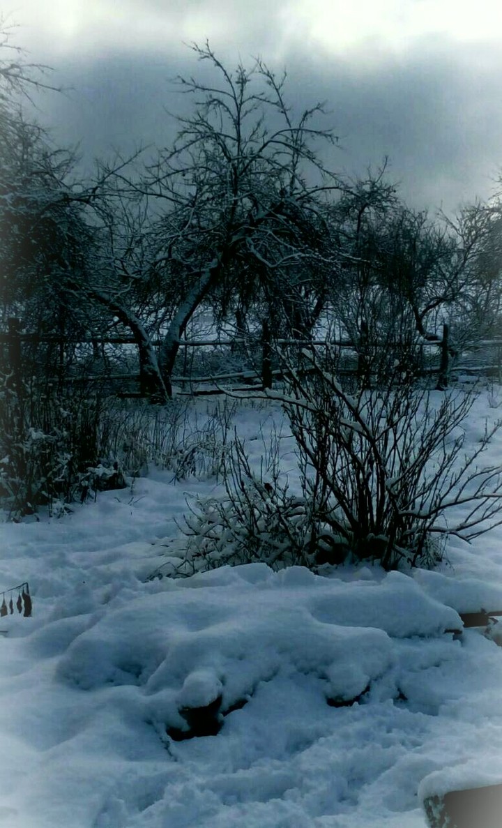 winter
