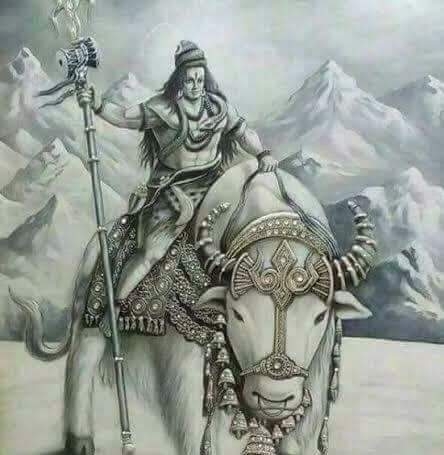 Bhole