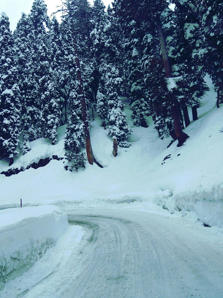 snow