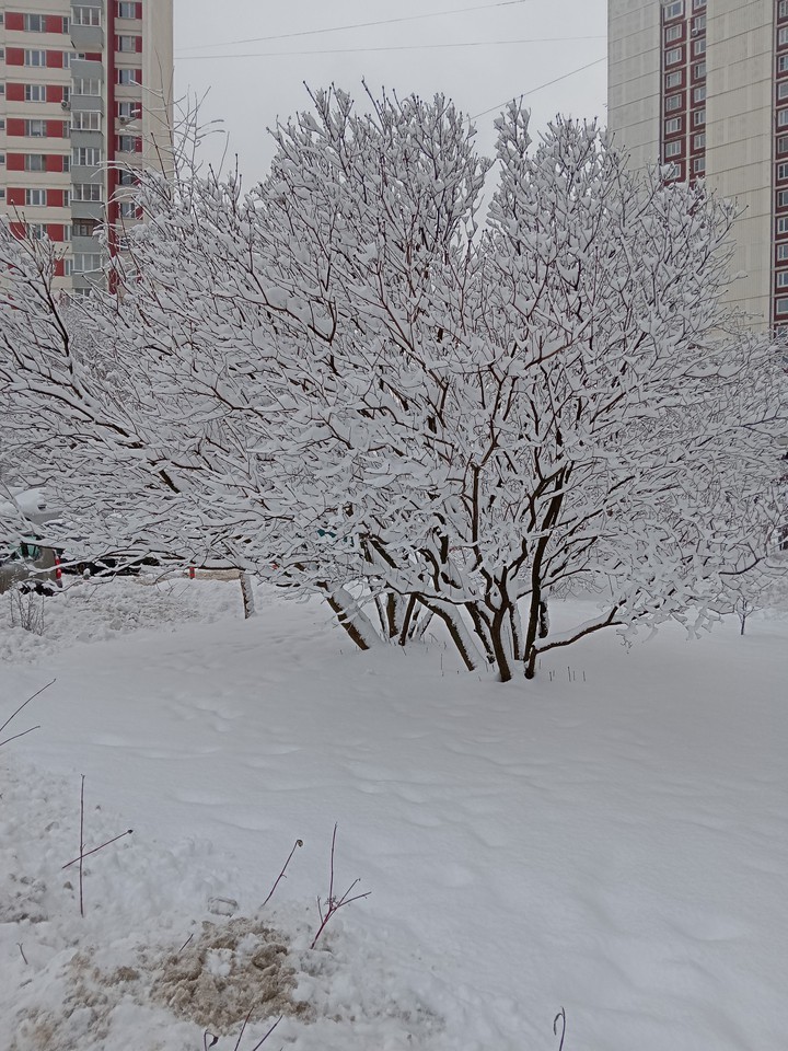 после снегопада