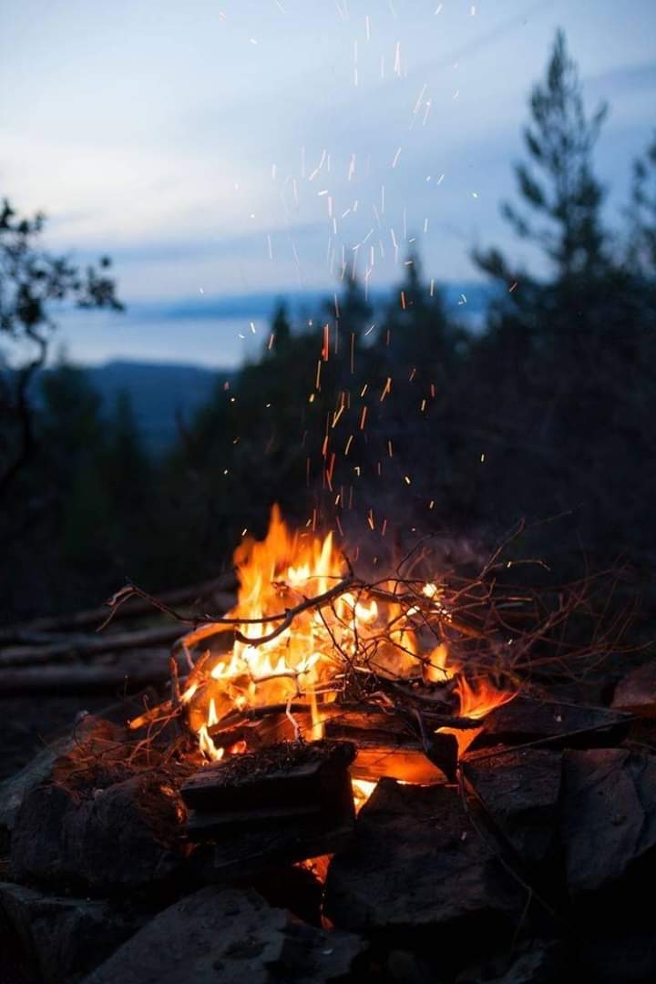wallpaper
