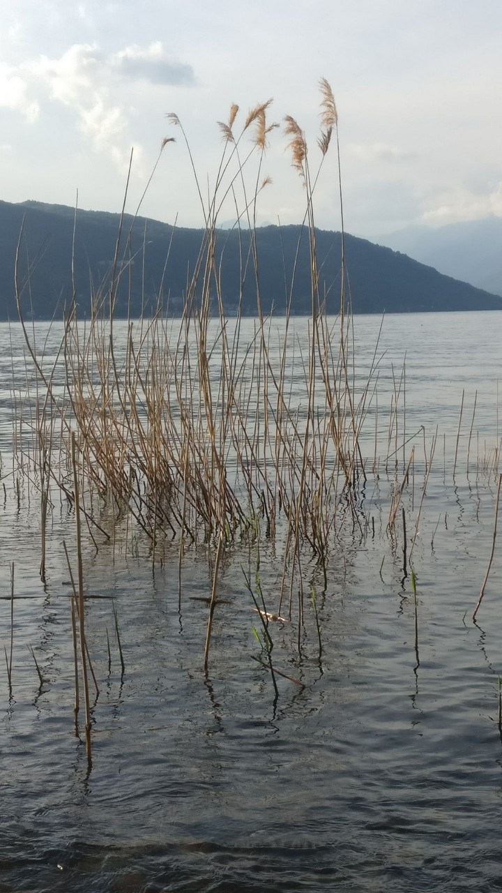 lake