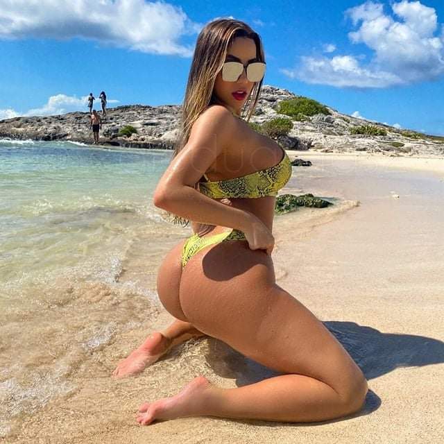 bea