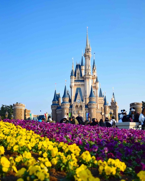 TDL
